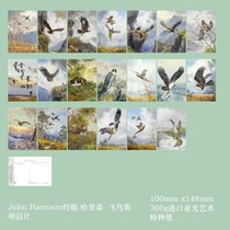 2023 Harrison Painting Birds Postcard Set of 20 022B