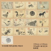 2023 Ming Dynasty Shen Zhou wrote the birth picture book postcard 16 Zhang set