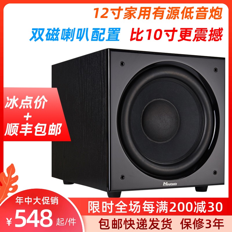 Noytson Sound E050 12 inch home theater subwoofer Active subwoofer beyond 10 inches
