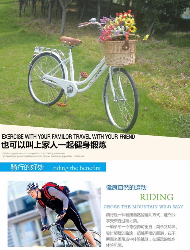 Panier pour vélo FLYING PIGEON en vigne - Ref 2257725 Image 9