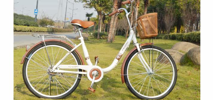 Panier pour vélo FLYING PIGEON - Ref 2257858 Image 20