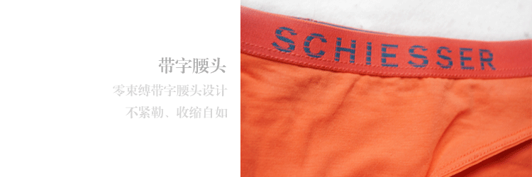 Slip SCHIESSER 20-2325S en coton - Ref 645740 Image 26