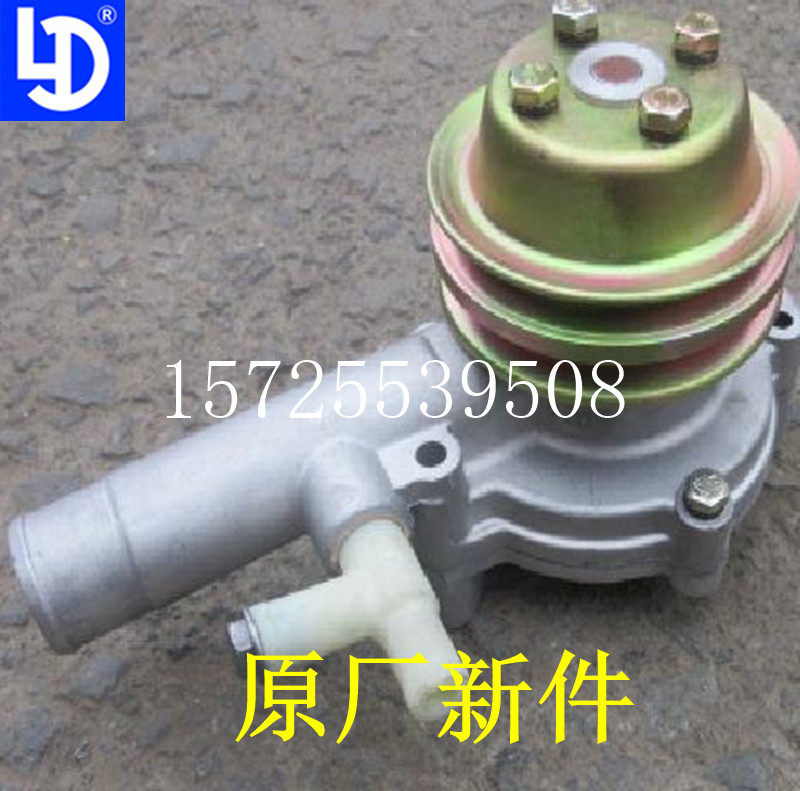 Black Leopard Fukuda Baring Motors Lemotion 380480485 4L18CF 4L22 4L18E 4L18E Water Pump