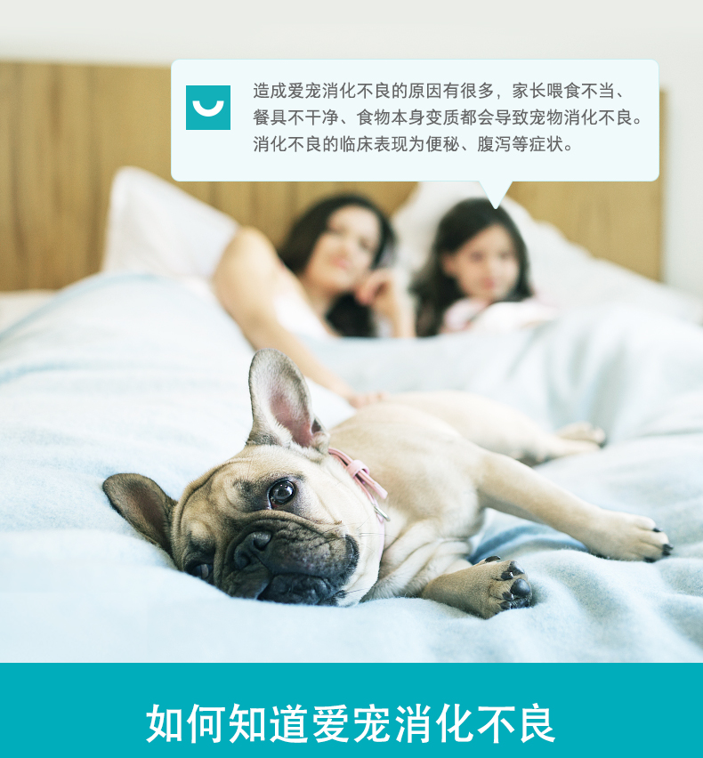 Wei Shi thú cưng tiêu hóa máy tính bảng điều hòa dạ dày mèo Teddy kén ăn không ăn thức ăn cho chó táo bón đối tác - Cat / Dog Health bổ sung sữa bio cho mèo