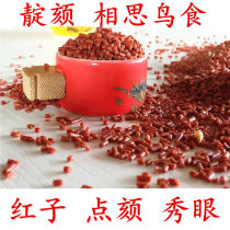 Embroidered red sub-point Chin Birds Feed Synod-Embroidered Eye Blue Indigo 500g (Buy 2 to buy 3 1 send 2)