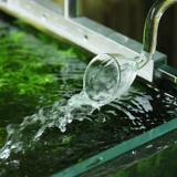 疯狂石头 Стекло в и из воды с бочеником фильтра «Фильтр рыбы» в воде высокая прозрачность высокая прозрачность