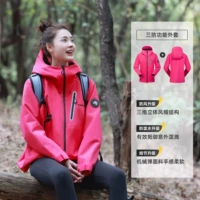 【Женская слабая】 Glory Pink | Куртка с тремя оборотами 855