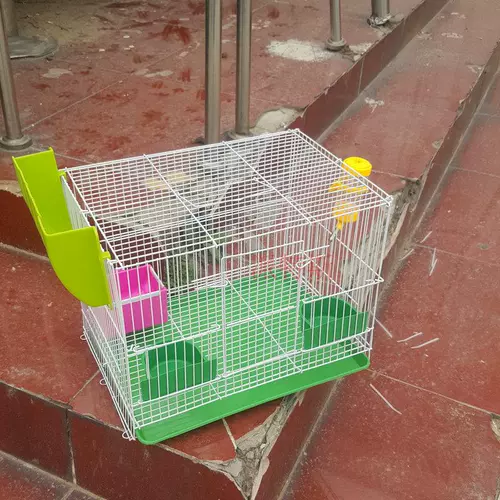 Национальная бесплатная доставка кроличья клетка становится кроличьей клетки для сосновой белки для пилочной пилоты питьевой воды клетки ежа