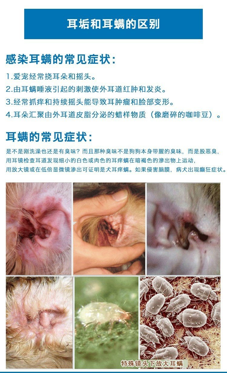 Wang Keke Wei Long Oridermyl tai da đờm thuốc thú cưng chó mèo điều trị điếc tai giữa 10g - Cat / Dog Medical Supplies 	bộ kim tiêm thú y