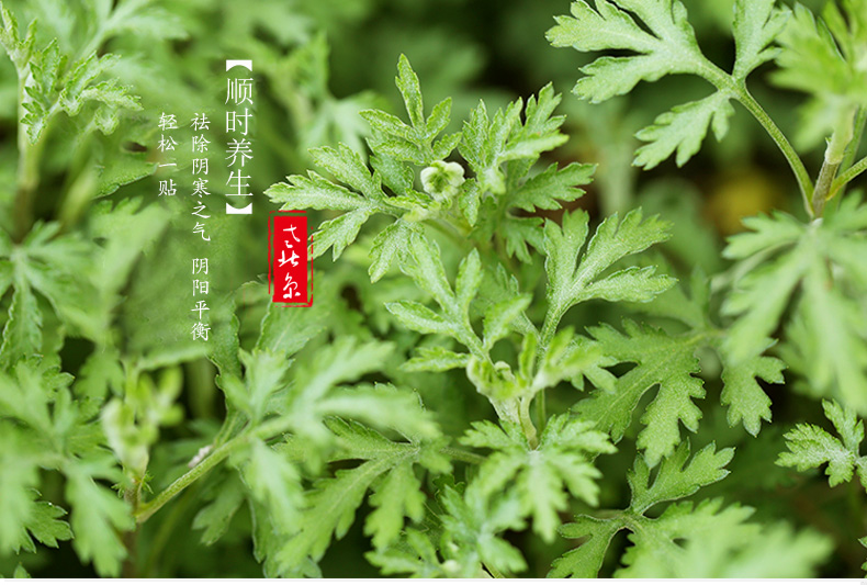 仁和药业 老北京足贴 祛湿除毒 50贴 图2