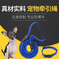 Traction with dog rope Medium dog puppies puppies Traction Rope Teddy Dog Chain Sub gold wool Item Circle Jidoll Walking Dog Rope