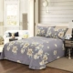 những người yêu thích thủy ngân Khăn bông phụ 100% cotton một mảnh dày mùa đông chà nhám tờ 2,0 mét 1.5m1.8 - Khăn trải giường