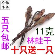 Snow clam Northeast specialty Changbai Mountain subspecies forest frog oil Whole pure dry does not contain tide toad dry 11g