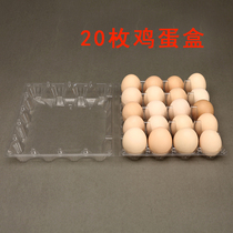 20 buckled egg tray plastic packing box egg tray egg packing box