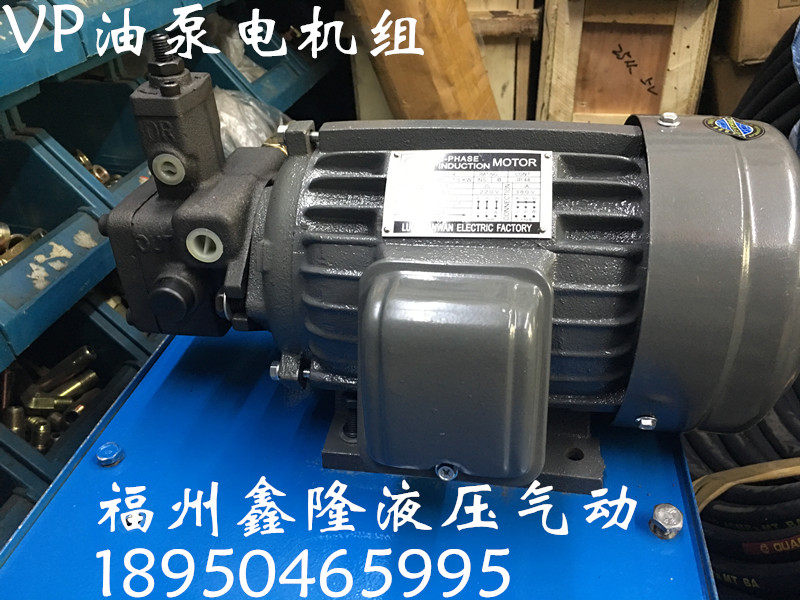Hydraulic oil pump motor group 0 75KW1 5 2 2 3 4KW fit VP08 12 15 15 30 30 40 40 pump