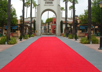 Special red carpet Wedding carpet Opening celebration thickened carpet decoration Family villa decoration High-quality carpet