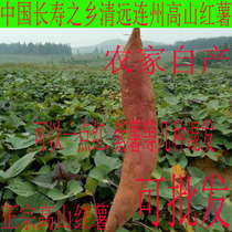 Lianzhou specialty Alpine farmhouse fresh self-planted purple potato egg yolk watermelon red little red sweet potato sweet potato