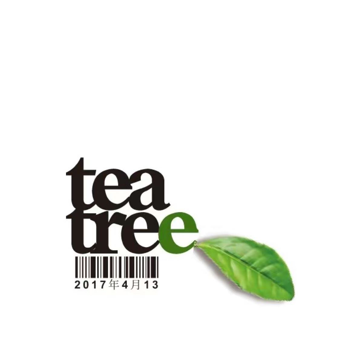 一茶衣树TEATREE