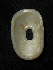 Морская раковина 黑暗透孔螺 amblychilepas nigrita sowerby.1824