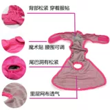 Физиологические штаны для собак золотые брюки мао юэ мужские брюки собака собака собака собака собака Большая собака Педант Большая собака Корки