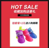 Тедди -одежда с четырьмя сложенными водонепроницаемым плащом щенка, чем медведь Шенри VIP маленькая собака -все -инкурентная одежда для домашних животных с капюшоном