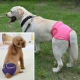 Физиологические штаны для собак золотые брюки мао юэ мужские брюки собака собака собака собака собака Большая собака Педант Большая собака Корки