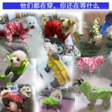 Тедди -одежда с четырьмя сложенными водонепроницаемым плащом щенка, чем медведь Шенри VIP маленькая собака -все -инкурентная одежда для домашних животных с капюшоном