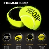 Head Hede Tennis Golden Globe Tourxt Davis Cup Masters Training