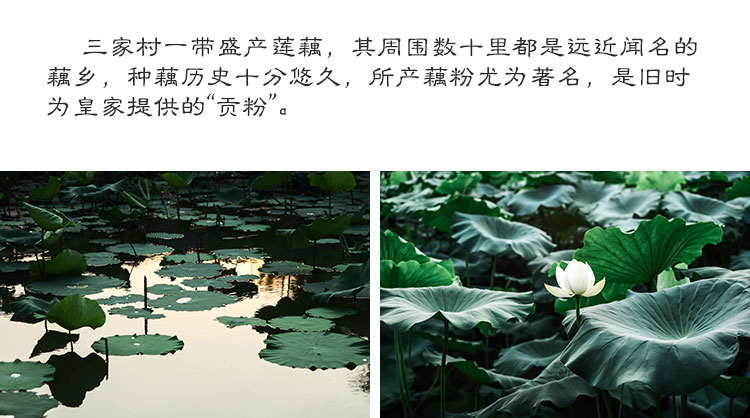 三家村刀削纯藕粉片状杭州特产农家