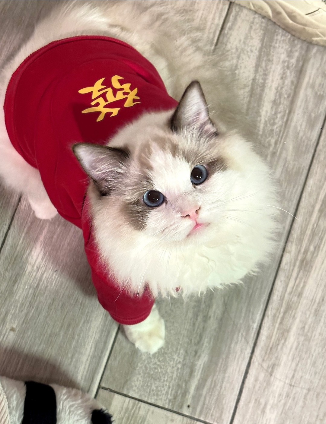 是小小粒呀