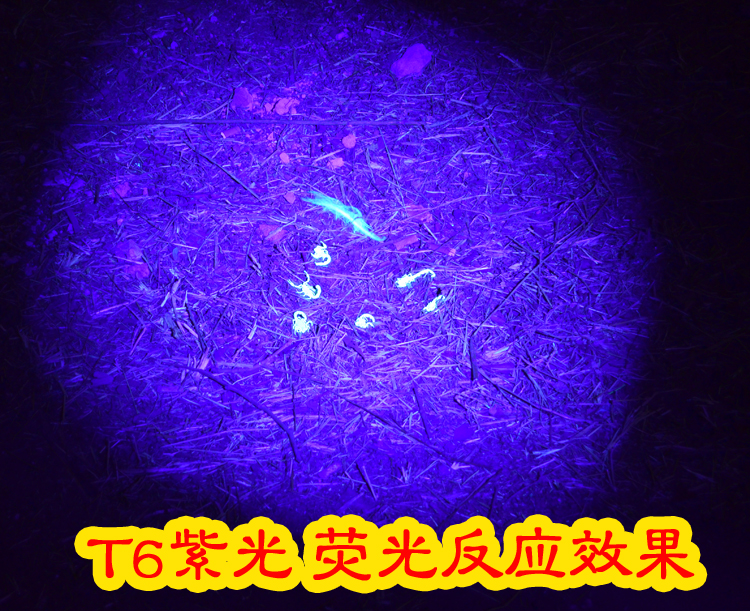 Scratch scorpion chói ánh sáng màu tím bắt đầu gắn kết dẫn dual-sử dụng chiếu sáng ngoài trời sạc giả bắt đậu worm đèn pin ánh sáng vàng