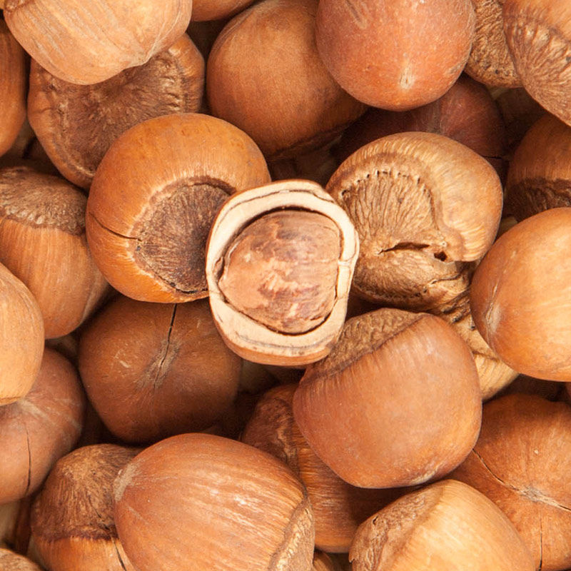 Xi taste Northeast wild mountain hazelnut nuts 500g 2022 fresh Tieling raw hazelnut water leak hand pat fried cooked