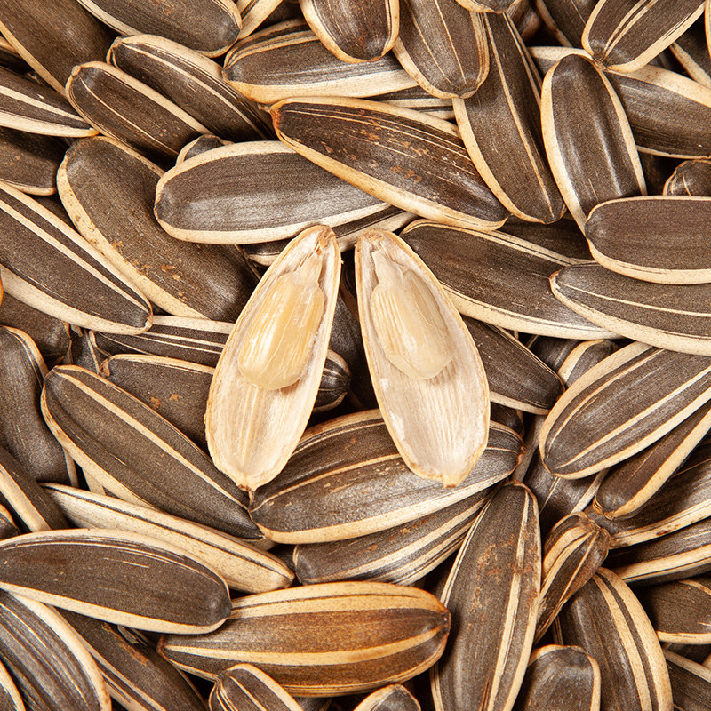 Creek Taste Northeast Grand Melon Seeds 400g Bulk New Stock Iron Pan Bulky Cooked Sunflower Seed Original Taste Packet Bagged