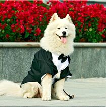 Big Dog British Dress Golden Hair Samoyed Husky Big Dog Clothes Gentleman Tuxedo Medium Large Dog Suit
