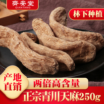 Qiantang Qingchuan Tianma 250g Dry Yunnan Zhaotong superfine powder Tianma flakes Non-wild premium grade