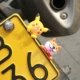 Pikachu+Akita Dog