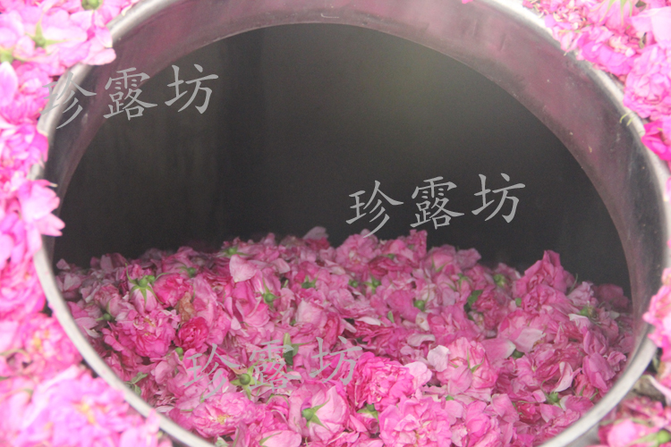 Sản phẩm chính hãng Mei Ping Yin Rose Pure Dew 500ml Nước hoa hồng chính hãng tinh dầu hoa hồng dưỡng ẩm - Tinh dầu điều trị tinh dầu đuổi muỗi