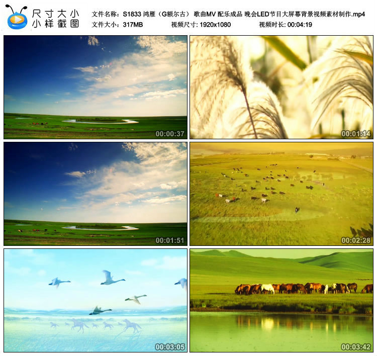 S13 鸿雁 G额尔古 歌曲mv 配乐成品背景视频素材制作 高清视频素材免费下载 大屏幕背景视频 婚庆婚礼视频素材 片头视频素材 蚁窝网 素材 资源免费分享平台丨视频素材