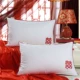 Độc gối mềm gối lõi lõi lớn gối dài sinh lõi đơn gối một cặp đánh bại 2 - Gối gối nằm cho bé