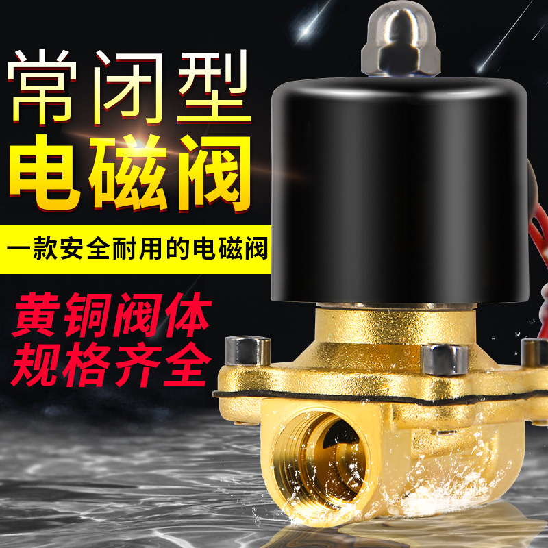 Normally closed solenoid valve Air valve water valve 220V12V24V electronic valve Water pipe solenoid switch valve control water valve