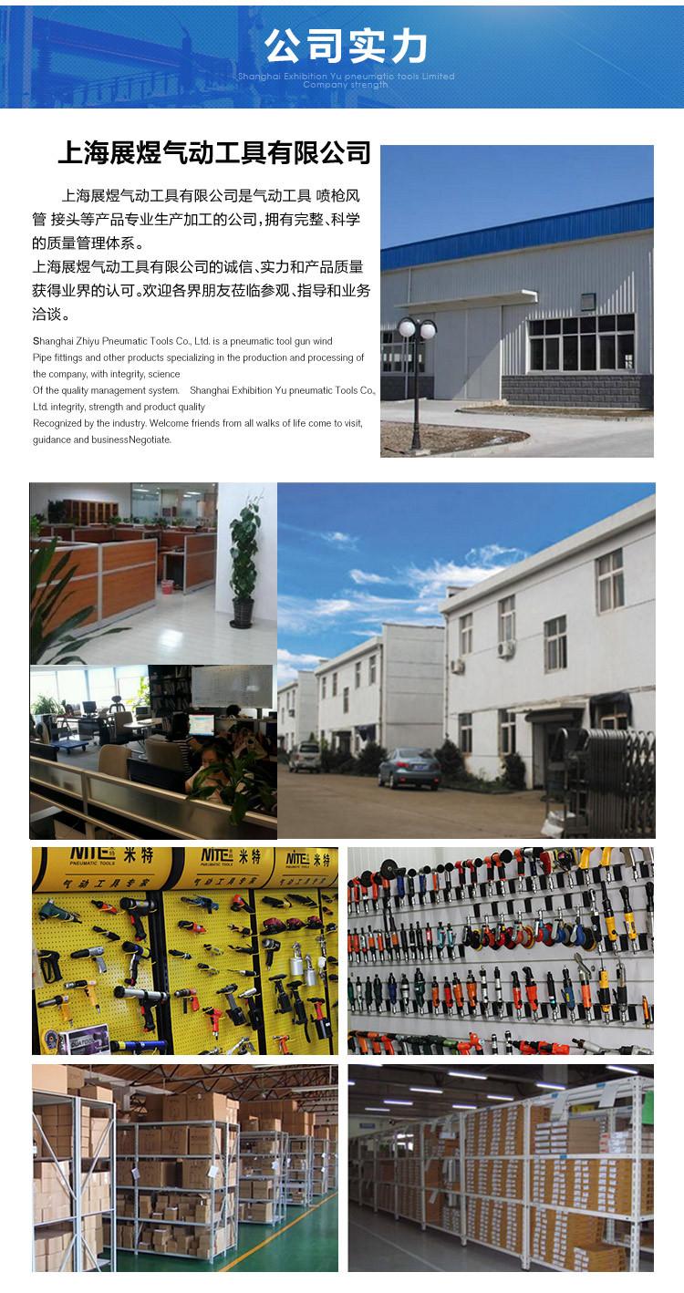 Nhà máy trực tiếp CZ2 xẻng không khí thẳng xẻng khí nén đập đục không khí búa xẻng khí nén công cụ loại bỏ rỉ sét - Công cụ điện khí nén