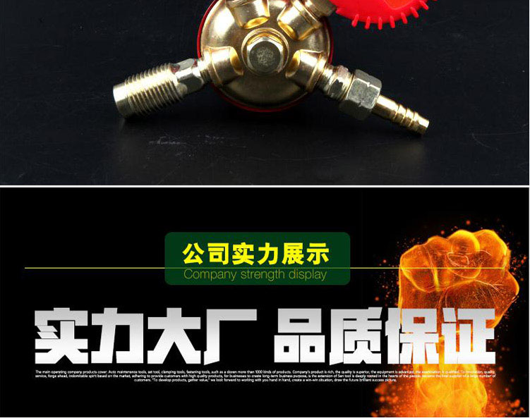 Tuosen hợp kim nhôm axetylen giảm áp van đo áp suất sốc bảng acetylene giảm áp acetylene YQY-03 công cụ phần cứng - Thiết bị & dụng cụ