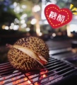 糖醋烤榴莲的LOGO