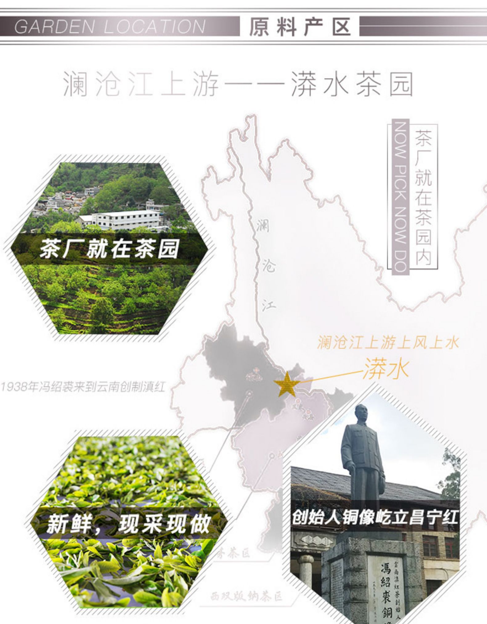 联合利华供应商 昌宁红 特级蜜香红茶 年有余红茶 120g 图5