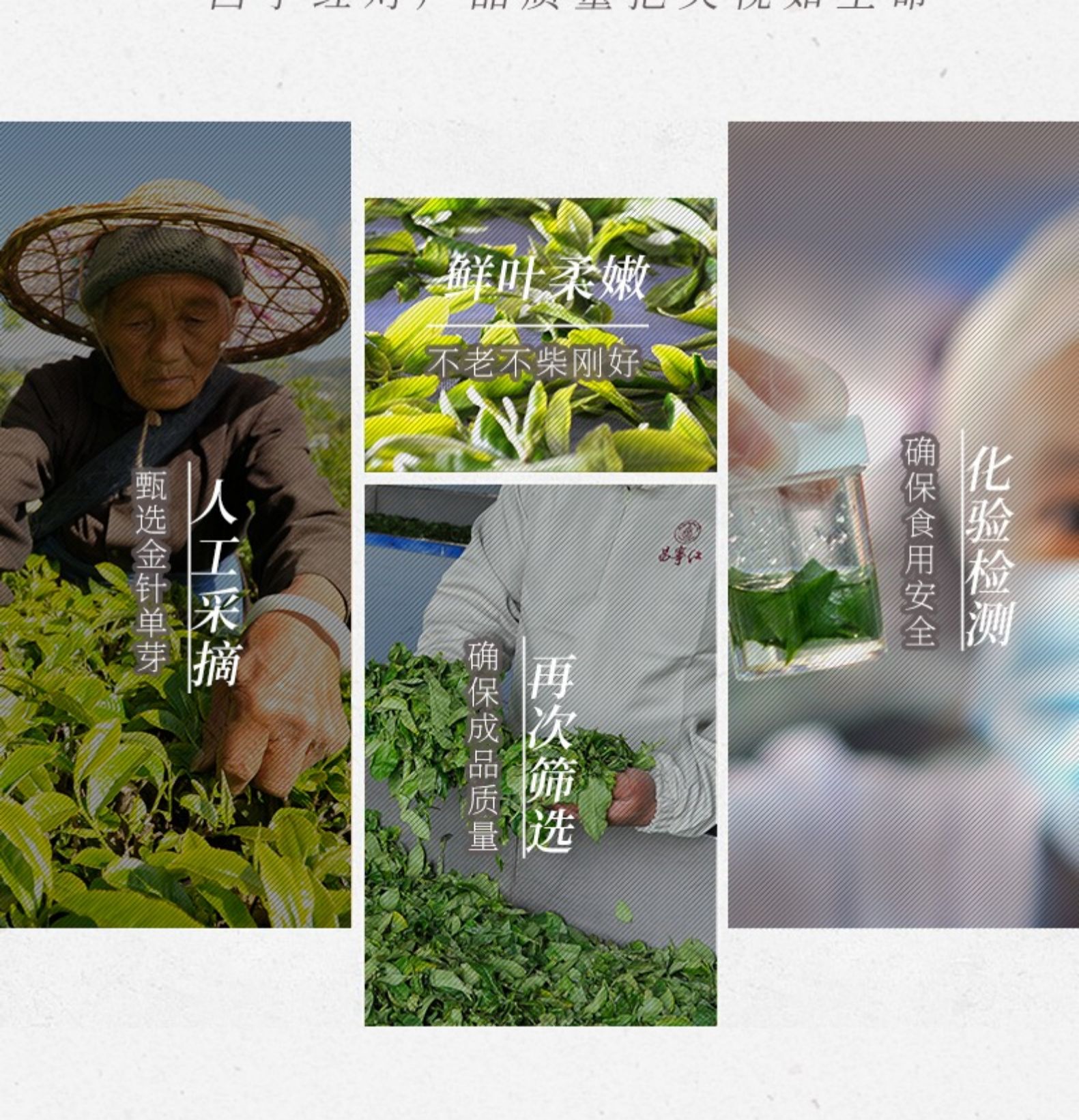 昌宁红 特级云南金针茶 针棒工夫红茶 125g 图11