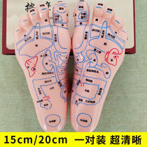 Foot Acupoint Model Soft Lettering Ultra Clear Foot Therapy Reflex Zone Massager pair of suit Meridian Foot moulds