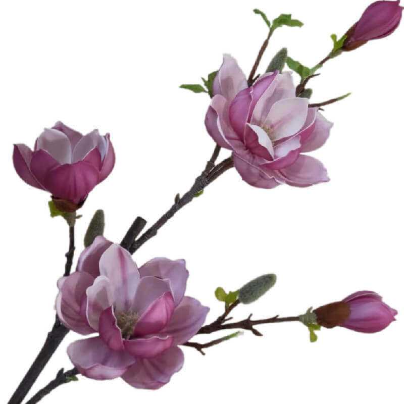 New single branch Tai Yulan emulation flower drying flower indoor floor decoration placement pink hand orchid wedding flowers