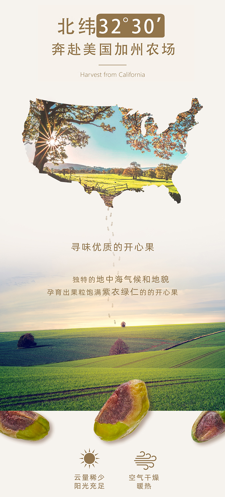 天虹牌 美国加州 原味开心果仁 500g 图7