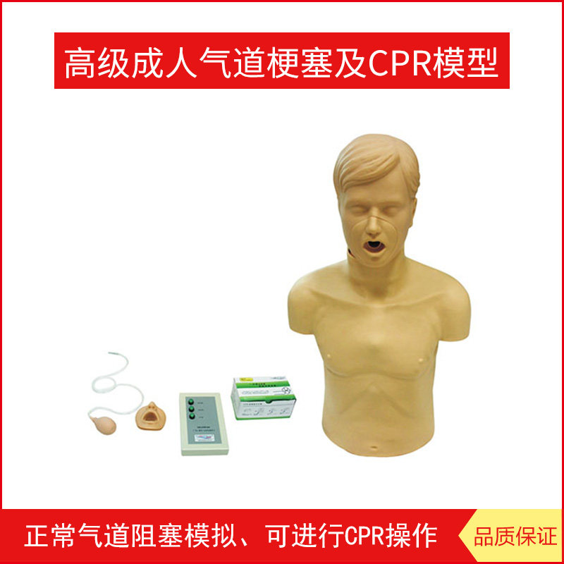 高级成人气道梗塞及CPR模型 气道阻塞 窒息急救心肺复苏模拟人