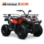 Lion Run All Terrain Motorcycle ATV Quad Cross Country Offroad dành cho người lớn ATV 150-5 xe moto điện trẻ em